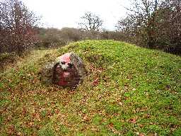 Icehouse @ Auckland Castle © DCC 24/11/09